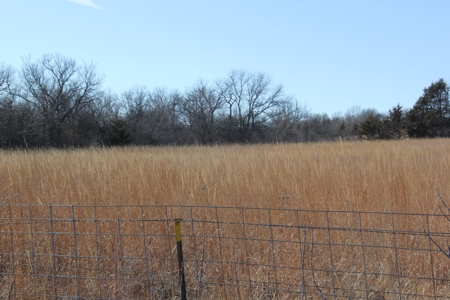 Eastern Kansas Grass Land & Timber For Sale At Auction - image 8