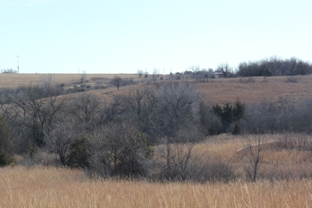 Eastern Kansas Grass Land & Timber For Sale At Auction - image 9