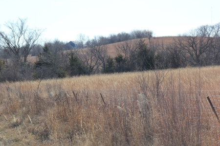 Eastern Kansas Grass Land & Timber For Sale At Auction - image 5