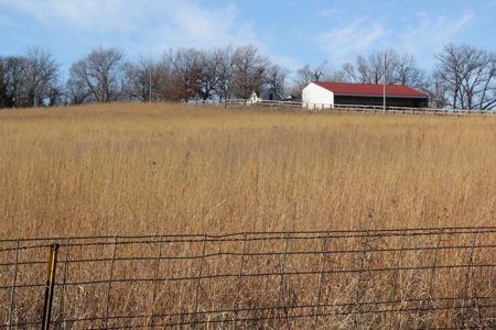 Eastern Kansas Grass Land & Timber For Sale At Auction - image 7