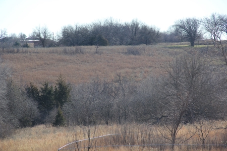 Eastern Kansas Grass Land & Timber For Sale At Auction - image 10