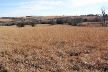 Eastern Kansas Grass Land & Timber For Sale At Auction - image 2