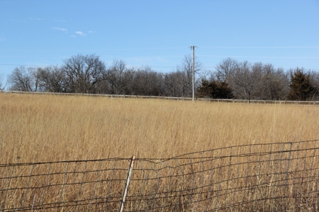 Eastern Kansas Grass Land & Timber For Sale At Auction - image 6