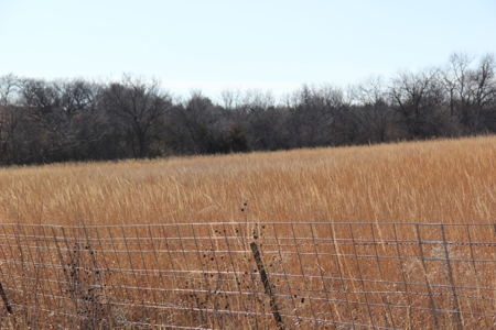 Eastern Kansas Grass Land & Timber For Sale At Auction - image 12
