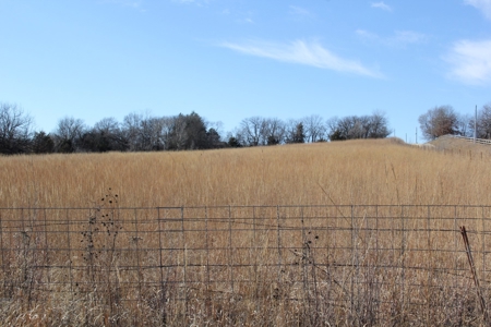 Eastern Kansas Grass Land & Timber For Sale At Auction - image 4