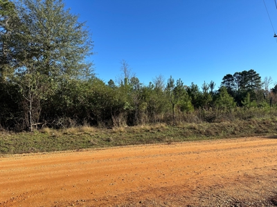 Land For Sale in West-Central Bradley County AR - image 1