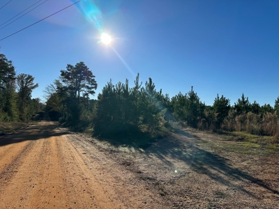 Land For Sale in West-Central Bradley County AR - image 2