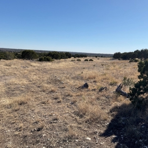 🔥 PRICE REDUCED-50± Acre Hunting Ranch – Sutton County, Tx - image 18