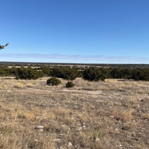 🔥 PRICE REDUCED-50± Acre Hunting Ranch – Sutton County, Tx - image 17