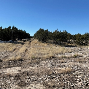 🔥 PRICE REDUCED-50± Acre Hunting Ranch – Sutton County, Tx - image 23