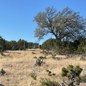 🔥 PRICE REDUCED-50± Acre Hunting Ranch – Sutton County, Tx - image 28