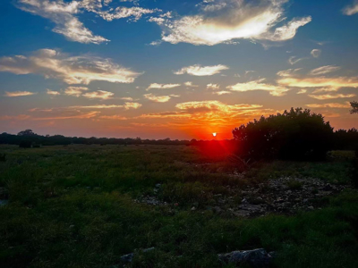 🔥 PRICE REDUCED-50± Acre Hunting Ranch – Sutton County, Tx - image 44