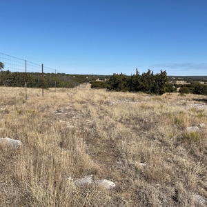 🔥 PRICE REDUCED-50± Acre Hunting Ranch – Sutton County, Tx - image 16
