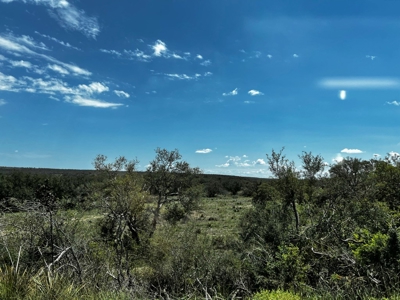 🔥 PRICE REDUCED-50± Acre Hunting Ranch – Sutton County, Tx - image 37