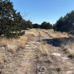 🔥 PRICE REDUCED-50± Acre Hunting Ranch – Sutton County, Tx - image 24