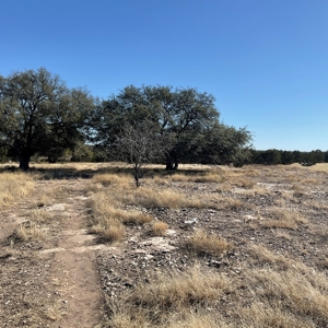 🔥 PRICE REDUCED-50± Acre Hunting Ranch – Sutton County, Tx - image 22