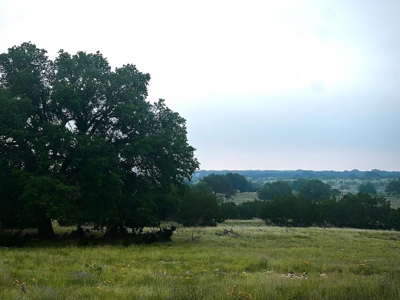 🔥 PRICE REDUCED-50± Acre Hunting Ranch – Sutton County, Tx - image 45