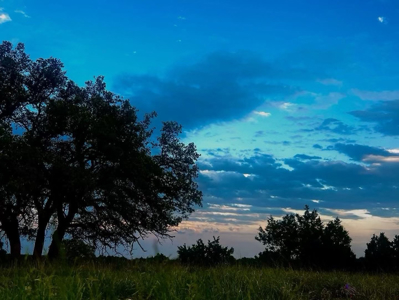 🔥 PRICE REDUCED-50± Acre Hunting Ranch – Sutton County, Tx - image 49