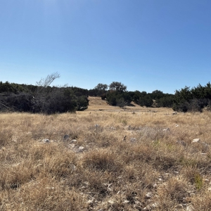 🔥 PRICE REDUCED-50± Acre Hunting Ranch – Sutton County, Tx - image 20