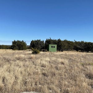 🔥 PRICE REDUCED-50± Acre Hunting Ranch – Sutton County, Tx - image 19