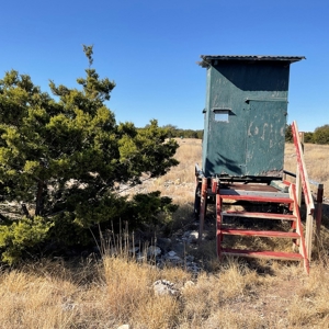 🔥 PRICE REDUCED-50± Acre Hunting Ranch – Sutton County, Tx - image 25