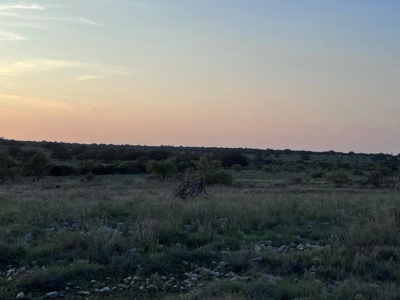 🔥 PRICE REDUCED-50± Acre Hunting Ranch – Sutton County, Tx - image 38