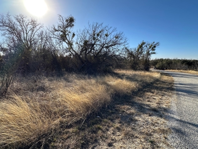 Home Lot 86 in King's Point Cove at Lake Brownwood, TX - image 6