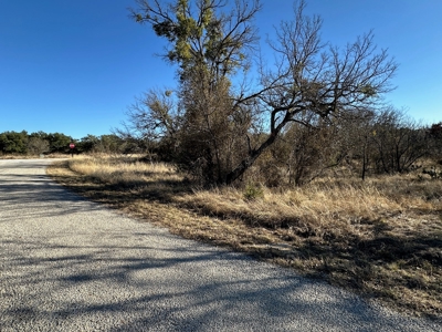 Home Lot 86 in King's Point Cove at Lake Brownwood, TX - image 8
