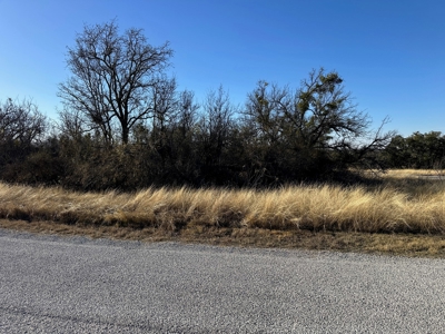 Home Lot 86 in King's Point Cove at Lake Brownwood, TX - image 10