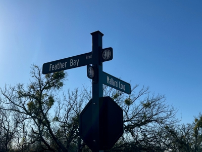 Home Lot 86 in King's Point Cove at Lake Brownwood, TX - image 5