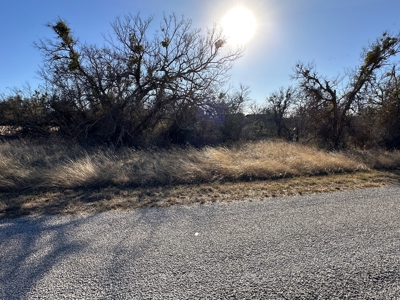 Home Lot 86 in King's Point Cove at Lake Brownwood, TX - image 7