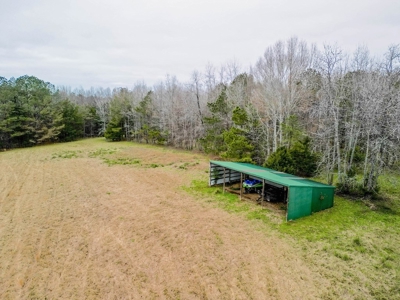 Flora Mississippi 78+- Acres for Sale - image 17
