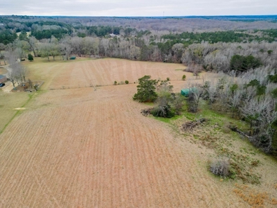 Flora Mississippi 78+- Acres for Sale - image 4