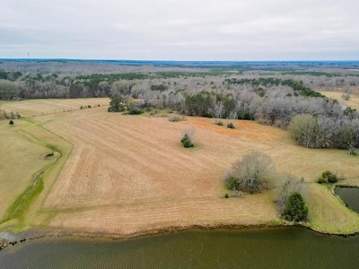 Flora Mississippi 78+- Acres for Sale - image 1