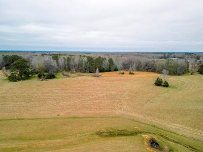 Flora Mississippi 78+- Acres for Sale - image 15