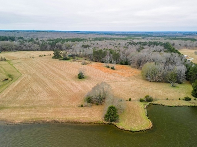Flora Mississippi 78+- Acres for Sale - image 11