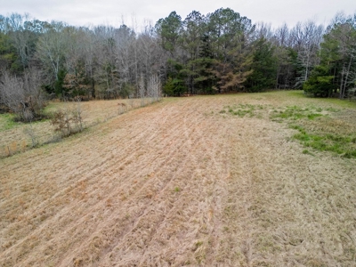 Flora Mississippi 78+- Acres for Sale - image 5
