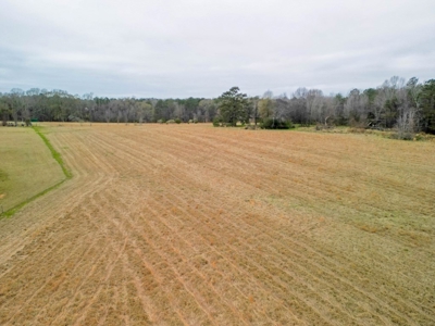 Flora Mississippi 78+- Acres for Sale - image 8