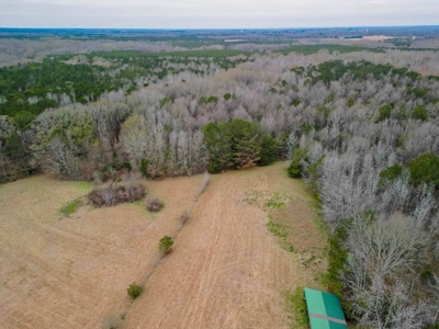 Flora Mississippi 78+- Acres for Sale - image 3