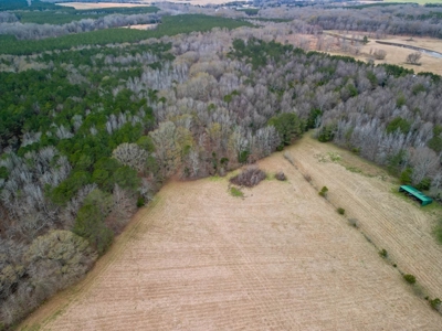 Flora Mississippi 78+- Acres for Sale - image 10