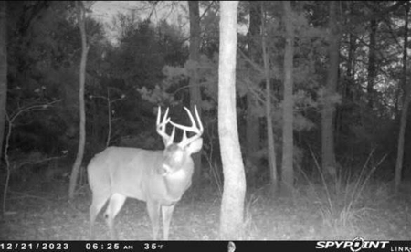 Flora Mississippi 78+- Acres for Sale - image 22