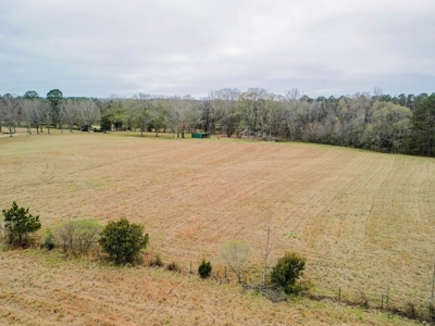 Flora Mississippi 78+- Acres for Sale - image 19
