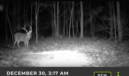 Flora Mississippi 78+- Acres for Sale - image 20
