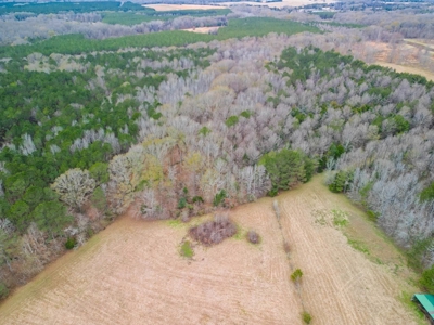 Flora Mississippi 78+- Acres for Sale - image 9