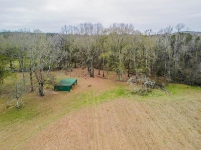 Flora Mississippi 78+- Acres for Sale - image 16