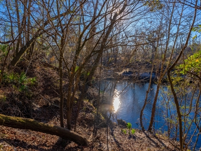 Dreaming of Life on the River? - image 19