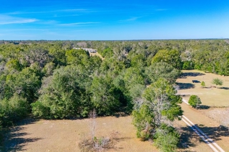Online Realty Auction High Springs, FL Home on 11+ Acres - image 19
