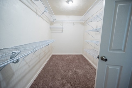 Online Realty Auction High Springs, FL Home on 11+ Acres - image 38