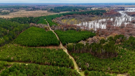 4 Bed 3 Bath House on 125 Acres for Sale In Lasalle Parish - image 36