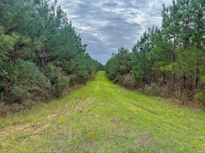 4 Bed 3 Bath House on 125 Acres for Sale In Lasalle Parish - image 32